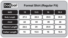 Stripe Regular Fit Formal Shirt 380#1