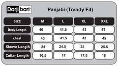 Casual Panjabi Design in Ash 265#1