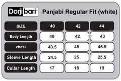 Panjabi_Regular Fit_Solid_163#4