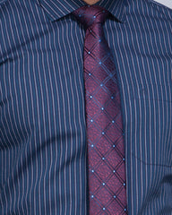 Regular Fit Stripe Cotton Formal Shirt 383#1