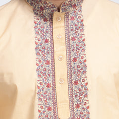 Panjabi_Regular Fit_Solid_167#5