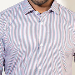 Shirt:Full Sleeve Blue Door_Regular Fit_ Stripe_276#1